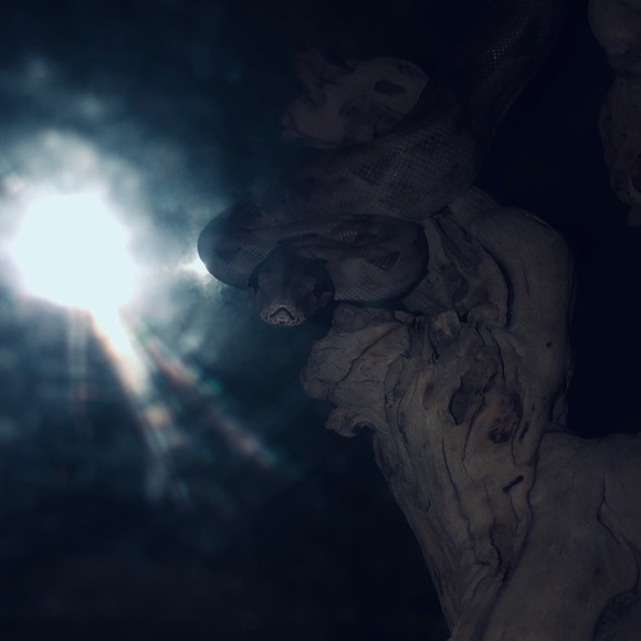 Meet your Posher, Andrew - Picture 1 of 1